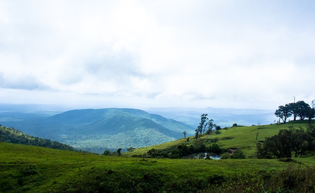 這更多是受 這更多是受