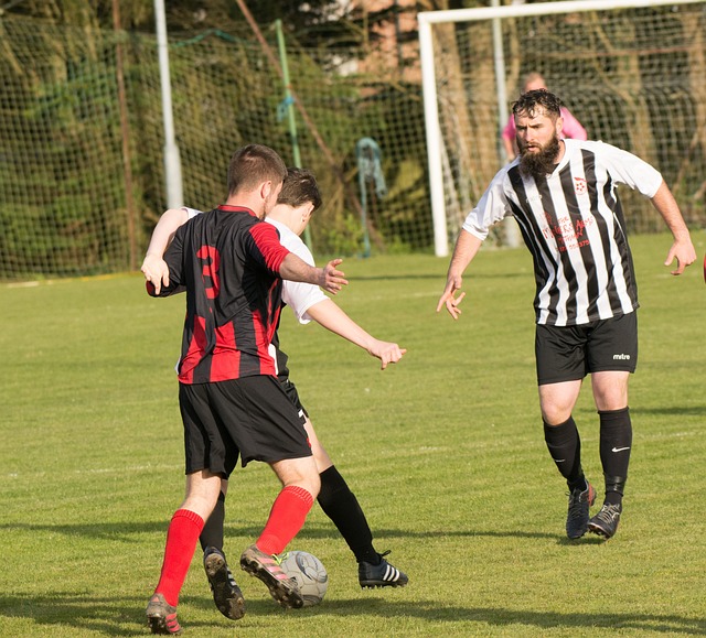 了作为一个 了作为一个