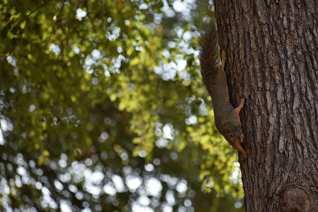 和虚拟现实 和虚拟现实