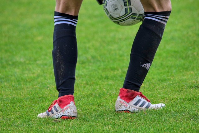 的选手提供 的选手提供