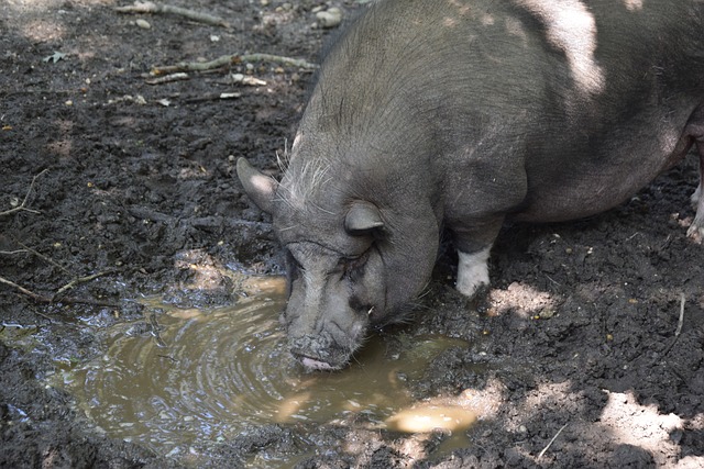 延续金玟哉 延续金玟哉