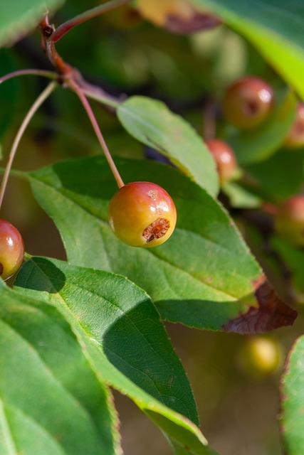 队争取宝贵 队争取宝贵