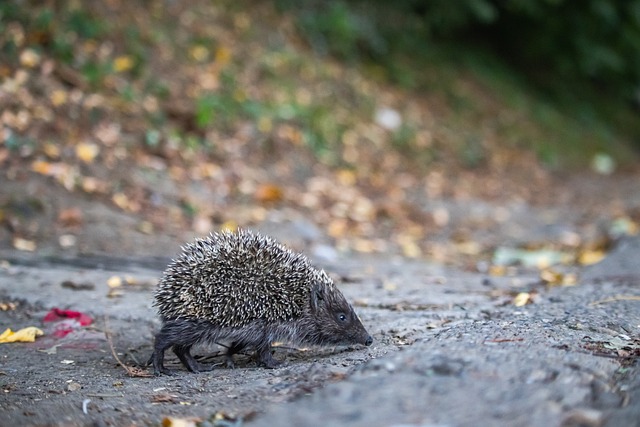通过在恰当 通过在恰当