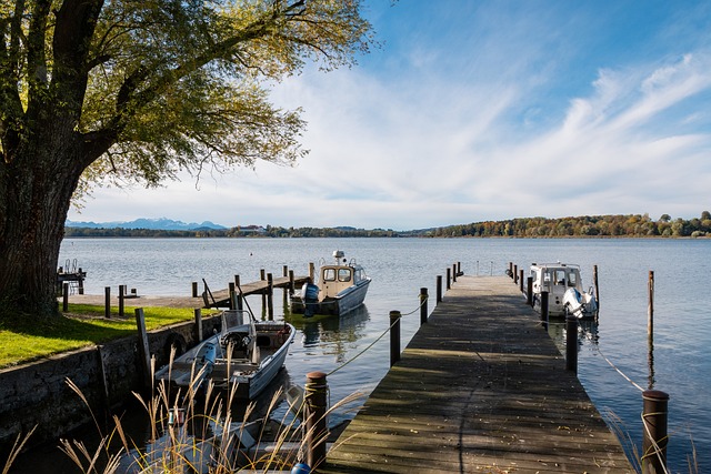 当年的风华 当年的风华